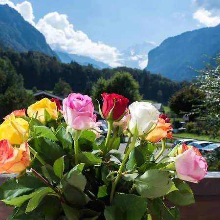 Jungfrau Annex Alpine-inn Hotel 3*