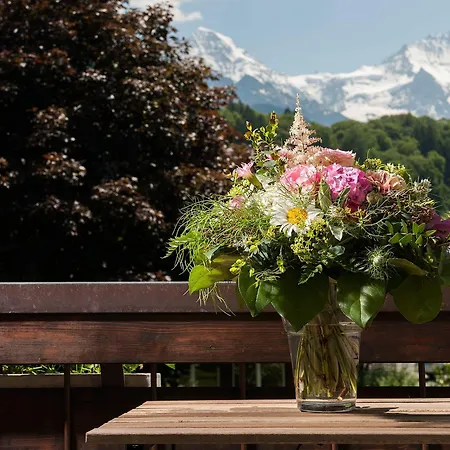 Hotell Jungfrau Annex Alpine-inn Wilderswil