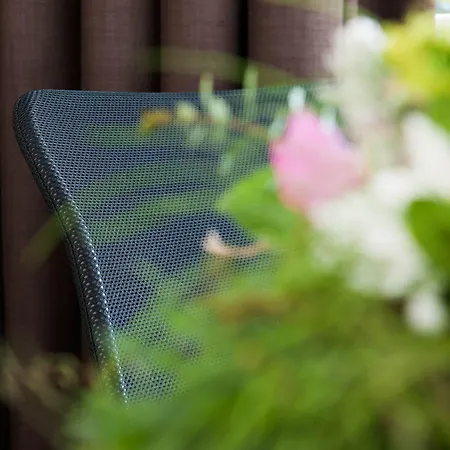 Jungfrau Annex Alpine-inn מלון וילדרסויל