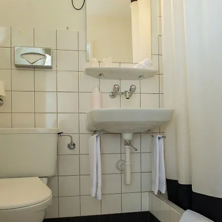 Hotell Jungfrau Annex Alpine-inn