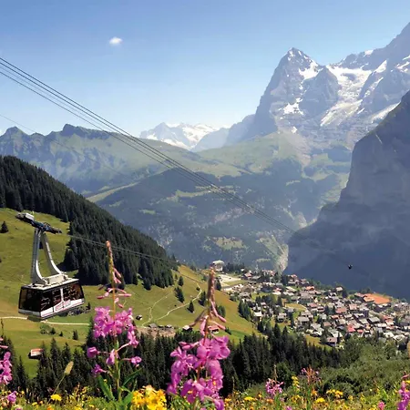 Jungfrau Annex Alpine-inn 3*