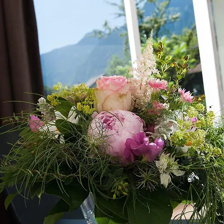 Hotell Jungfrau Annex Alpine-inn Wilderswil