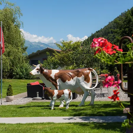 מלון Jungfrau Annex Alpine-inn 3*