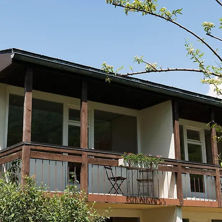 Jungfrau Annex Alpine-inn מלון