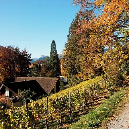 Hotel Jungfrau Annex Alpine-inn 3*