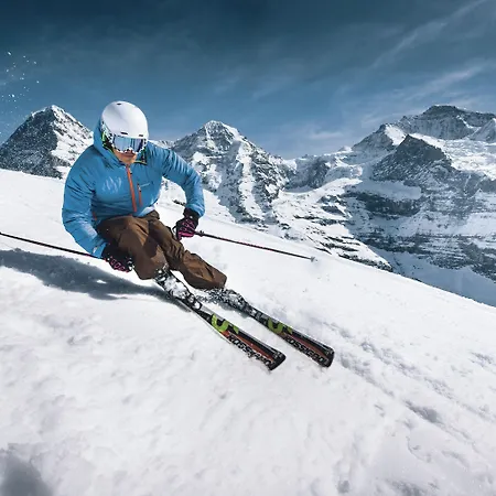 Jungfrau Annex Alpine-inn