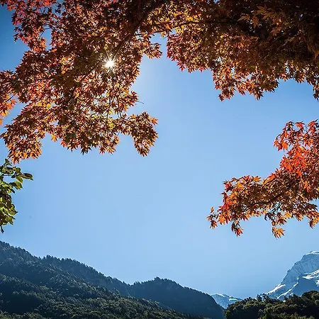 Alpine-inn By Jungfrau Wilderswil
