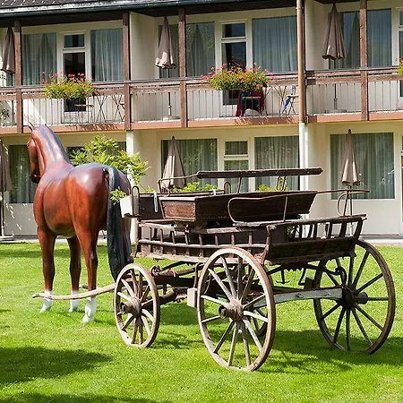 Jungfrau Annex Alpine-inn 3* Wilderswil