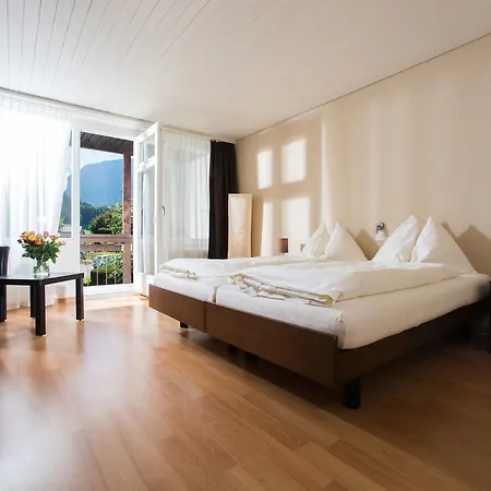 Jungfrau Annex Alpine-inn Wilderswil