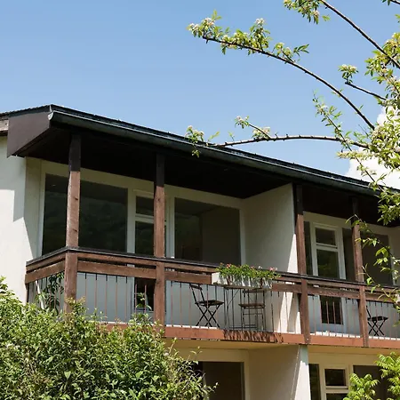 Jungfrau Annex Alpine-inn וילדרסויל