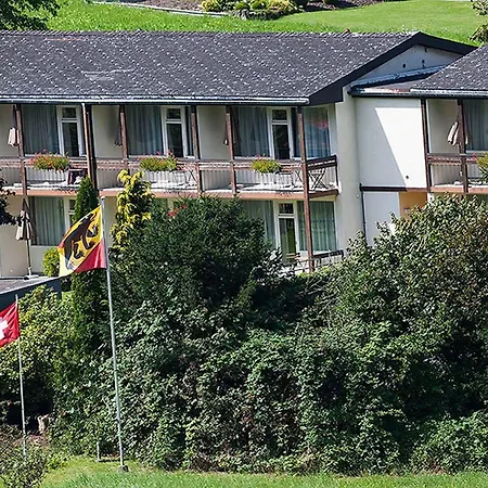 Hotel Jungfrau Annex Alpine-inn Wilderswil
