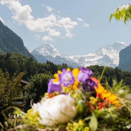 Jungfrau Annex Alpine-inn
