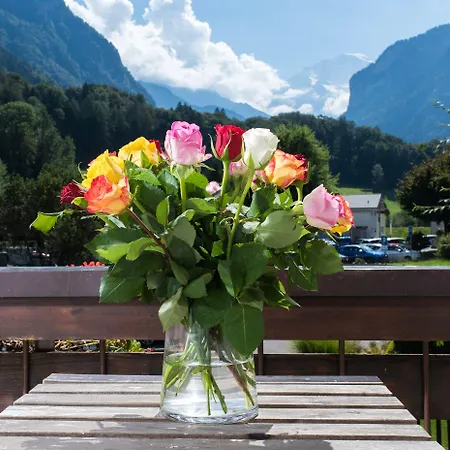 Jungfrau Annex Alpine-inn