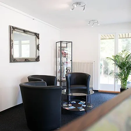 Jungfrau Annex Alpine-inn 3* Wilderswil