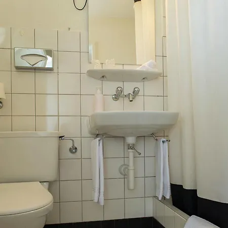 Jungfrau Annex Alpine-inn Hotell Wilderswil