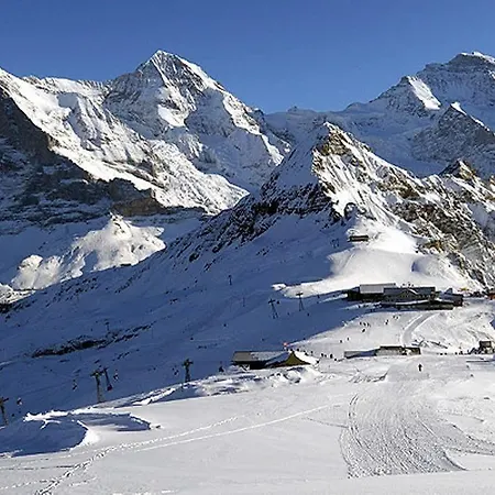 Jungfrau Annex Alpine-inn Hotell Wilderswil