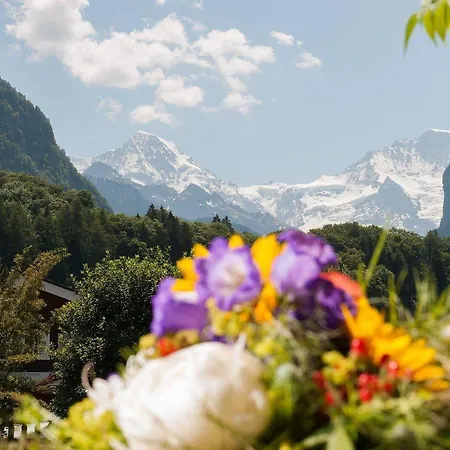 Jungfrau Annex Alpine-inn